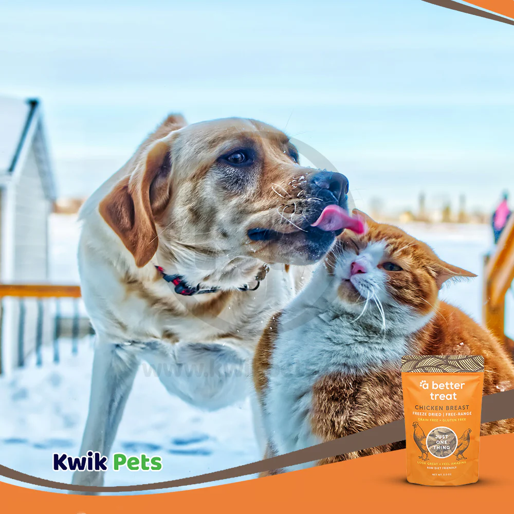 A Better Treat Just One Thing Freeze Dried Dog & Cat Treats Free Range Chicken Breast 3-oz - Image 6