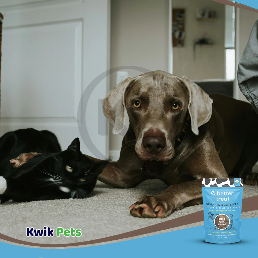 A Better Treat Just One Thing Freeze Dried Dog & Cat Treats Grass Fed Beef Liver 3-oz - Image 6