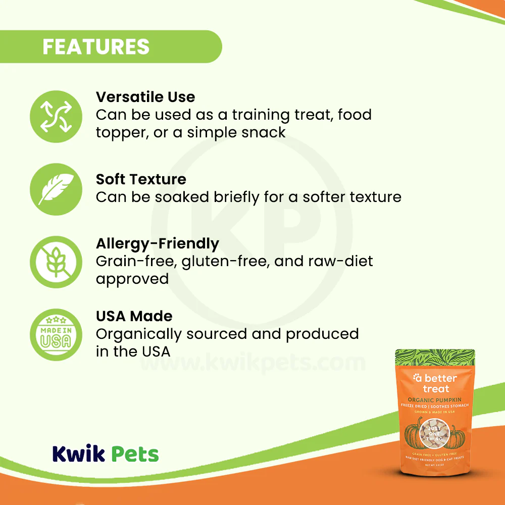 A Better Treat Just One Thing Freeze Dried Dog & Cat Treats USDA Organic Pumpkin 1-oz - Image 3