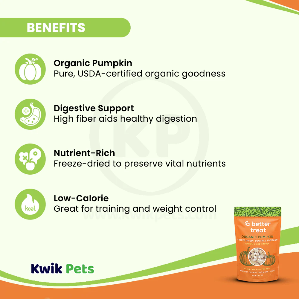 A Better Treat Just One Thing Freeze Dried Dog & Cat Treats USDA Organic Pumpkin 1-oz - Image 4