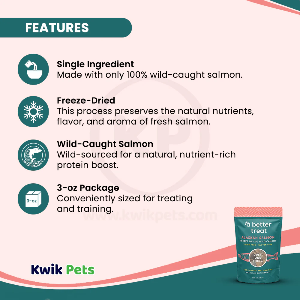 A Better Treat Just One Thing Freeze Dried Dog & Cat Treats Wild Caught Salmon 3-oz - Image 3