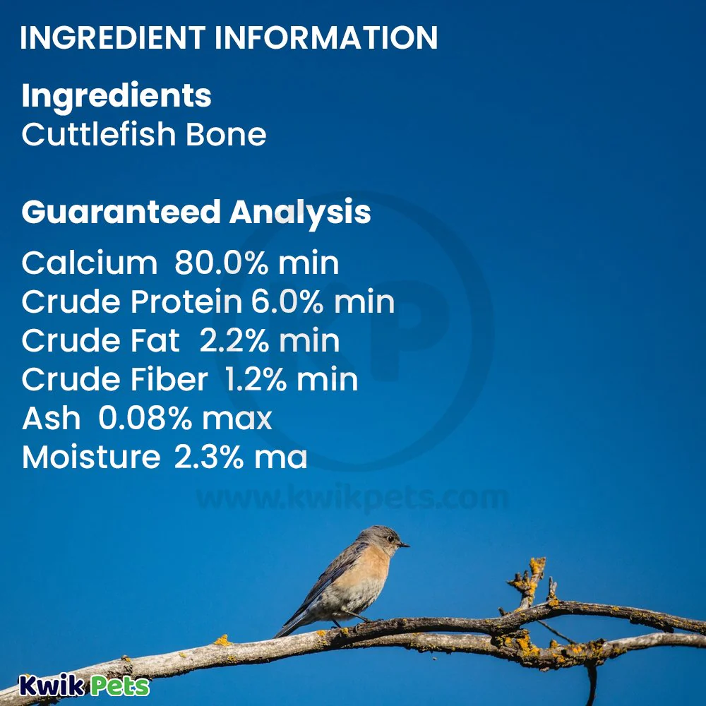 A&E Cage Company Captain 6" Flavored Cuttlebone for Birds 2 Count - Image 3