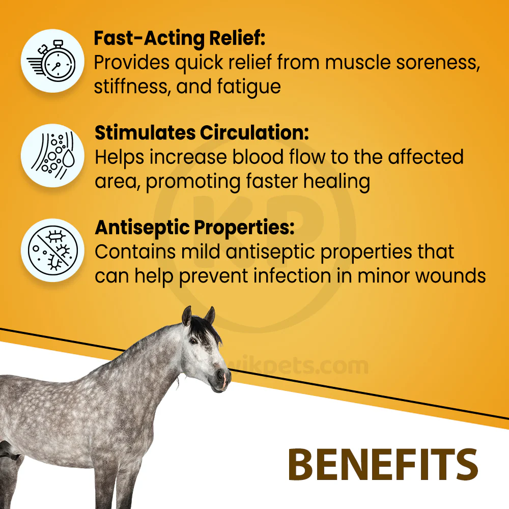 Absorbine Sore Muscle & Joint Pain Relief Veterinary Liniment Gel for Horses 12-oz - Image 4