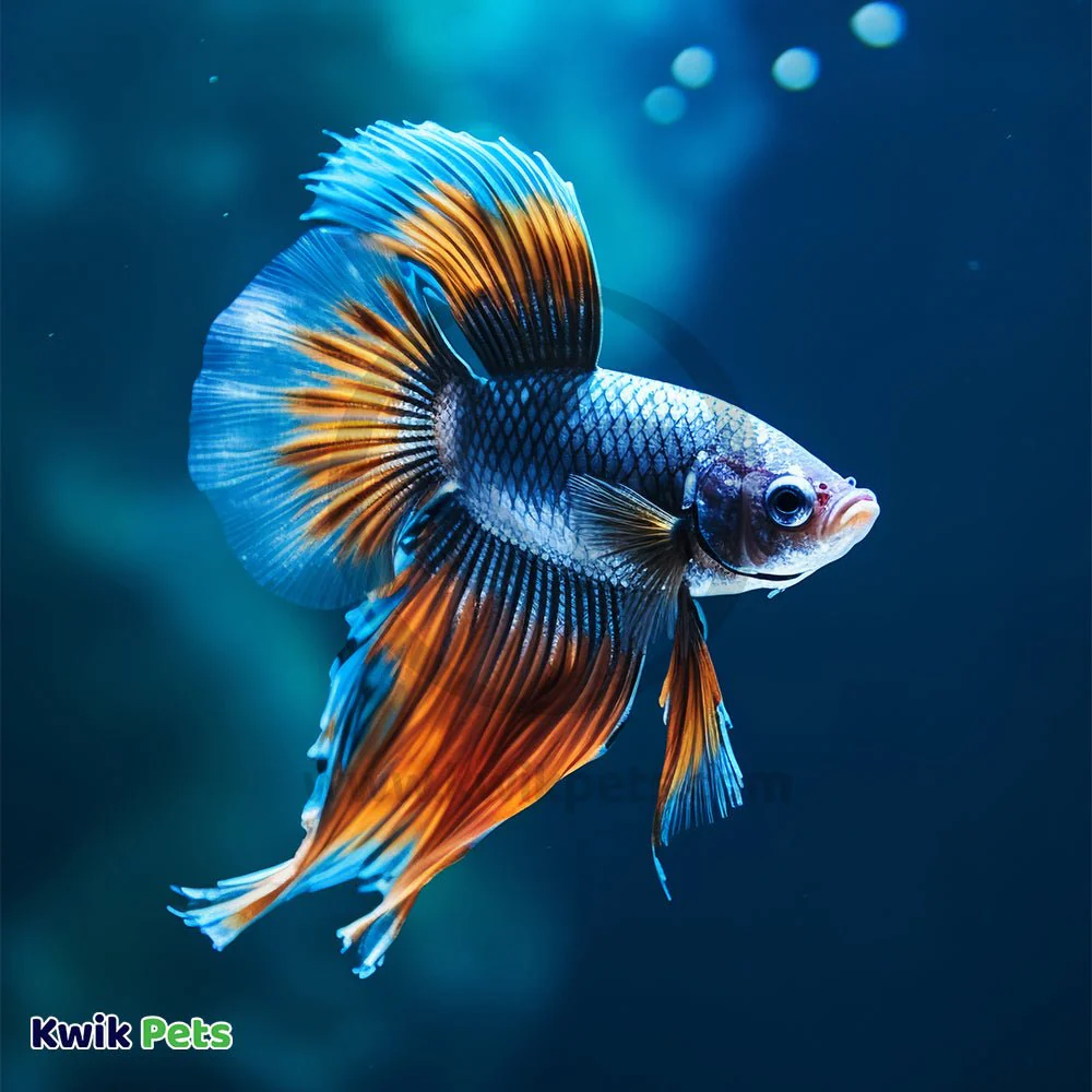 Acurel F Aquarium Water Clarifier 250 ml - Image 5
