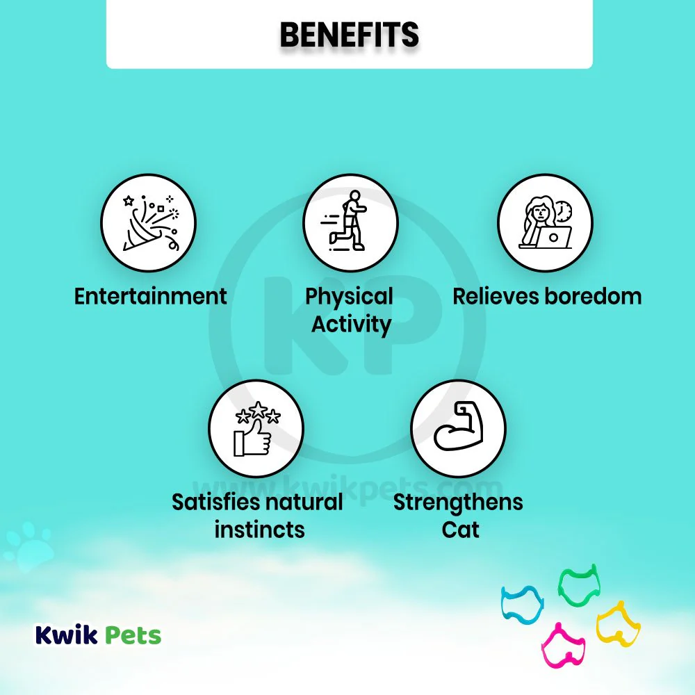 Petmate Cat Crazies Interactive Cat Toys 4 Count - Image 3