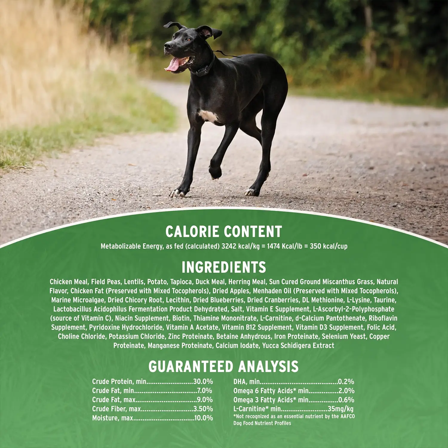 Annamaet Grain-Free Lean Low Fat Formula Dry Dog Food Chicken, Duck & Herring 5-lb - Image 4