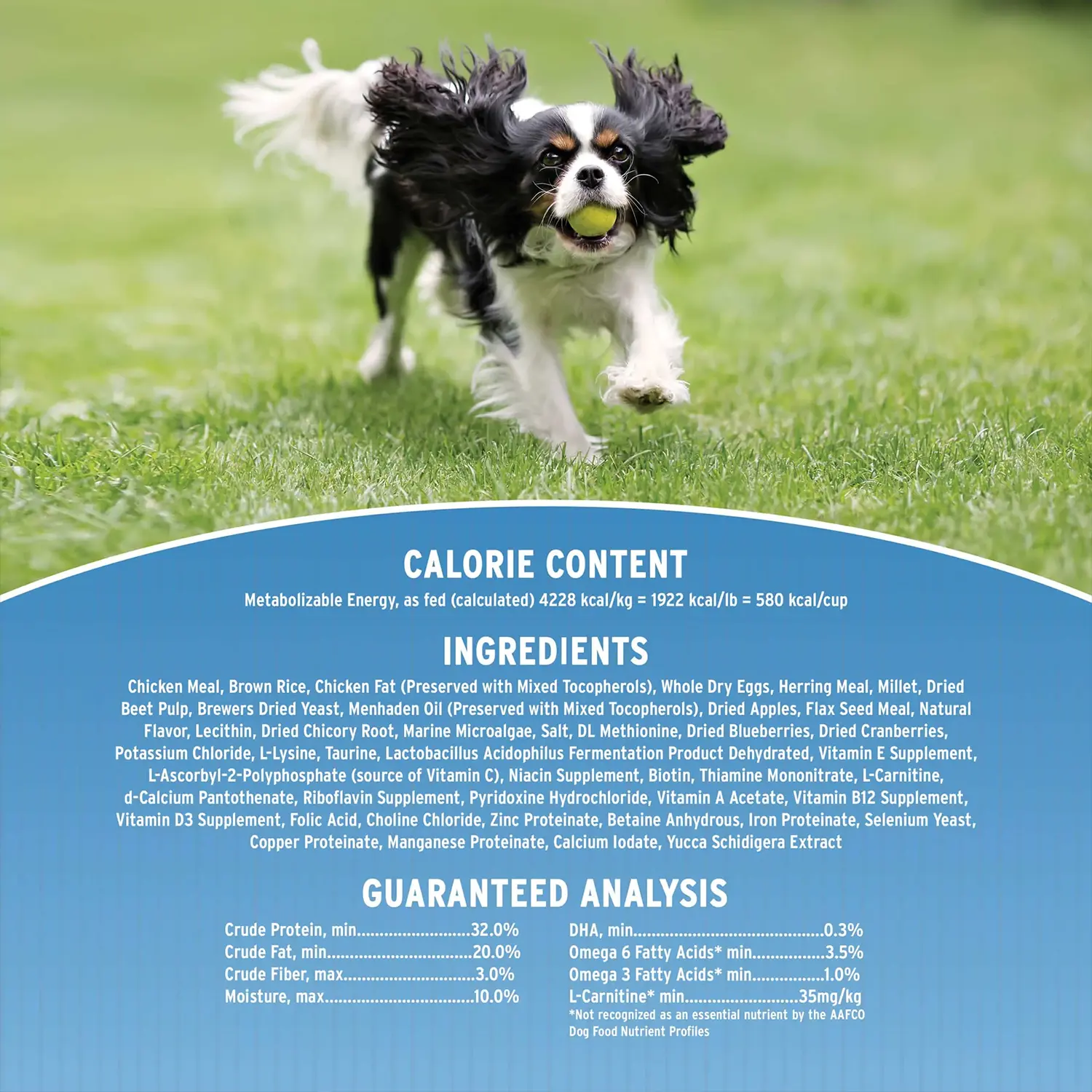 Annamaet Original Small Breed Dry Dog Food Chicken Meal & Brown Rice Formula 4-lb - Image 4