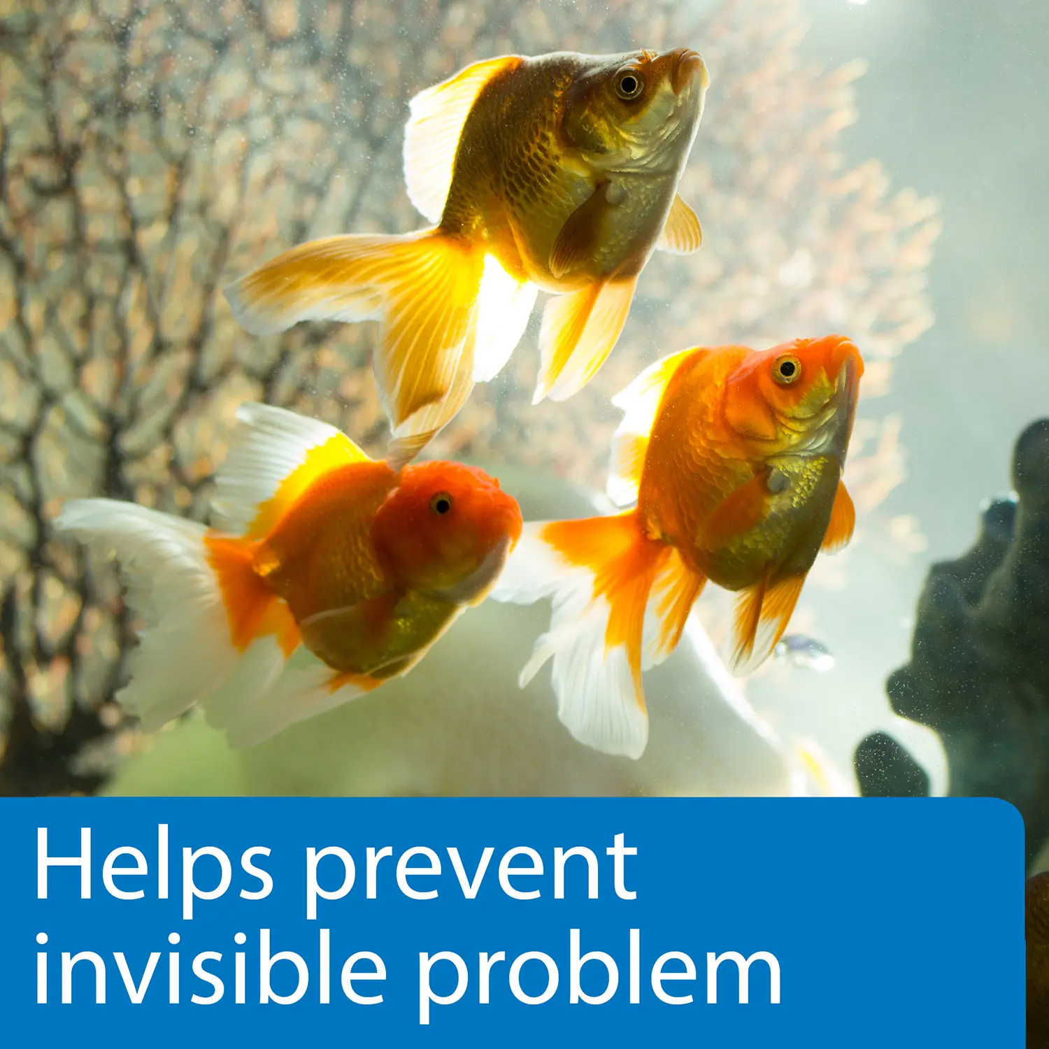 API 5-in-1 Freshwater Aquarium Test Strip 100 Count - Image 3