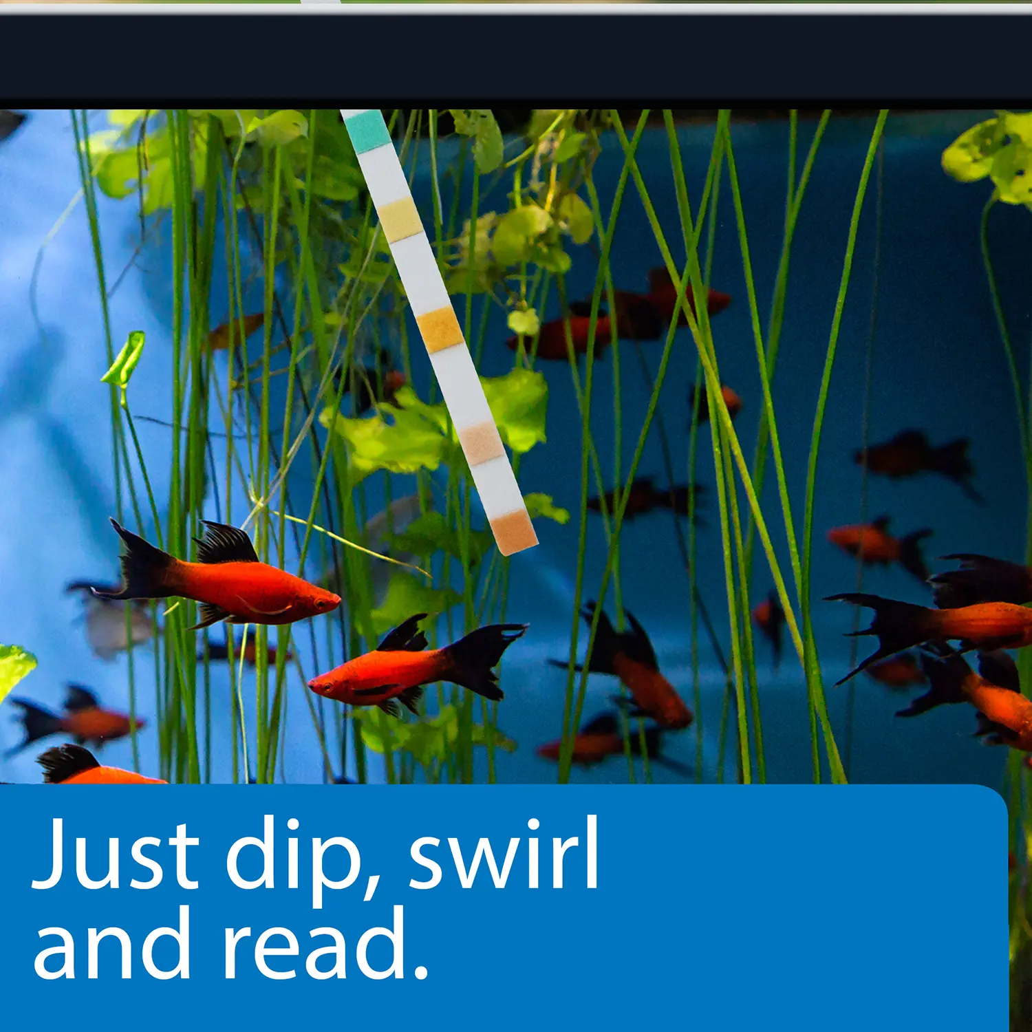 API 5-in-1 Freshwater Aquarium Test Strip 100 Count - Image 6