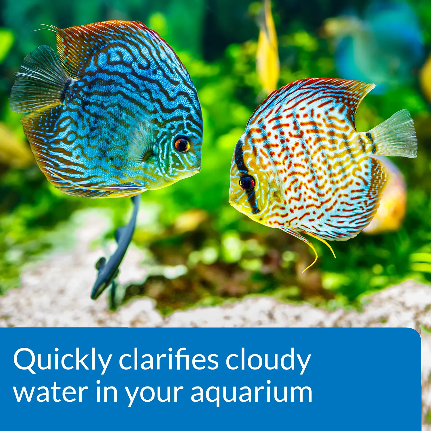 API Accu-Clear Aquarium Water Clarifier 4-oz - Image 3