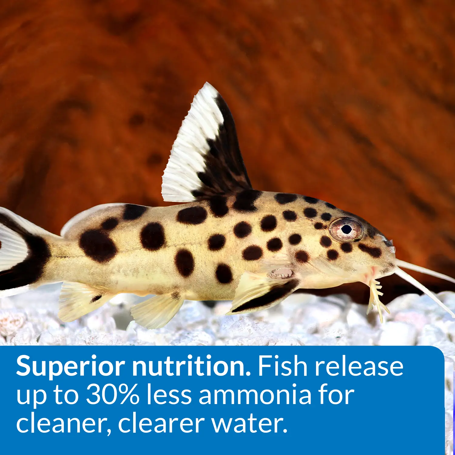 API Bottom Feeder Pellets with Squid Fish Food 4-oz - Image 2