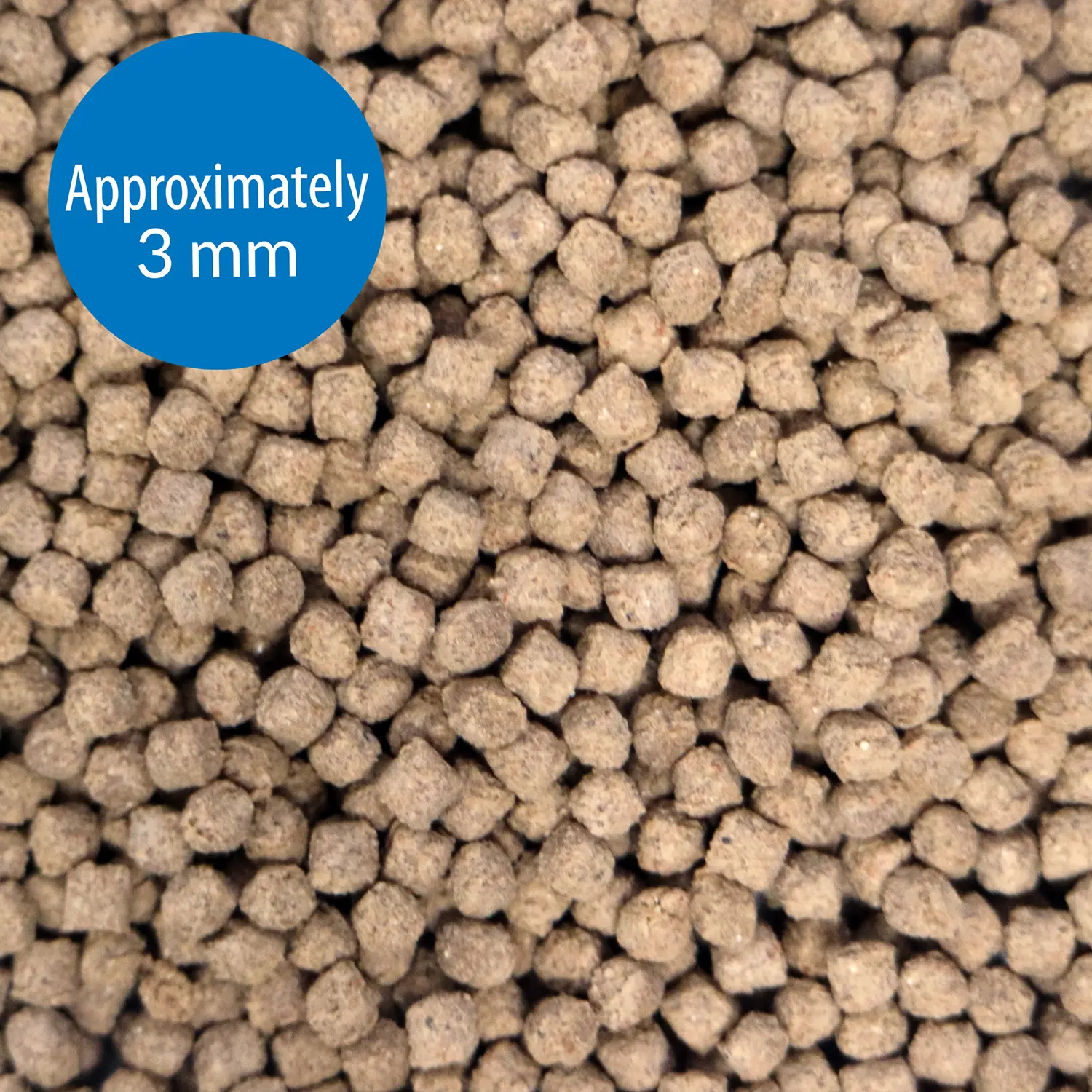 API Bottom Feeder Pellets with Squid Fish Food 7.9-oz - Image 4