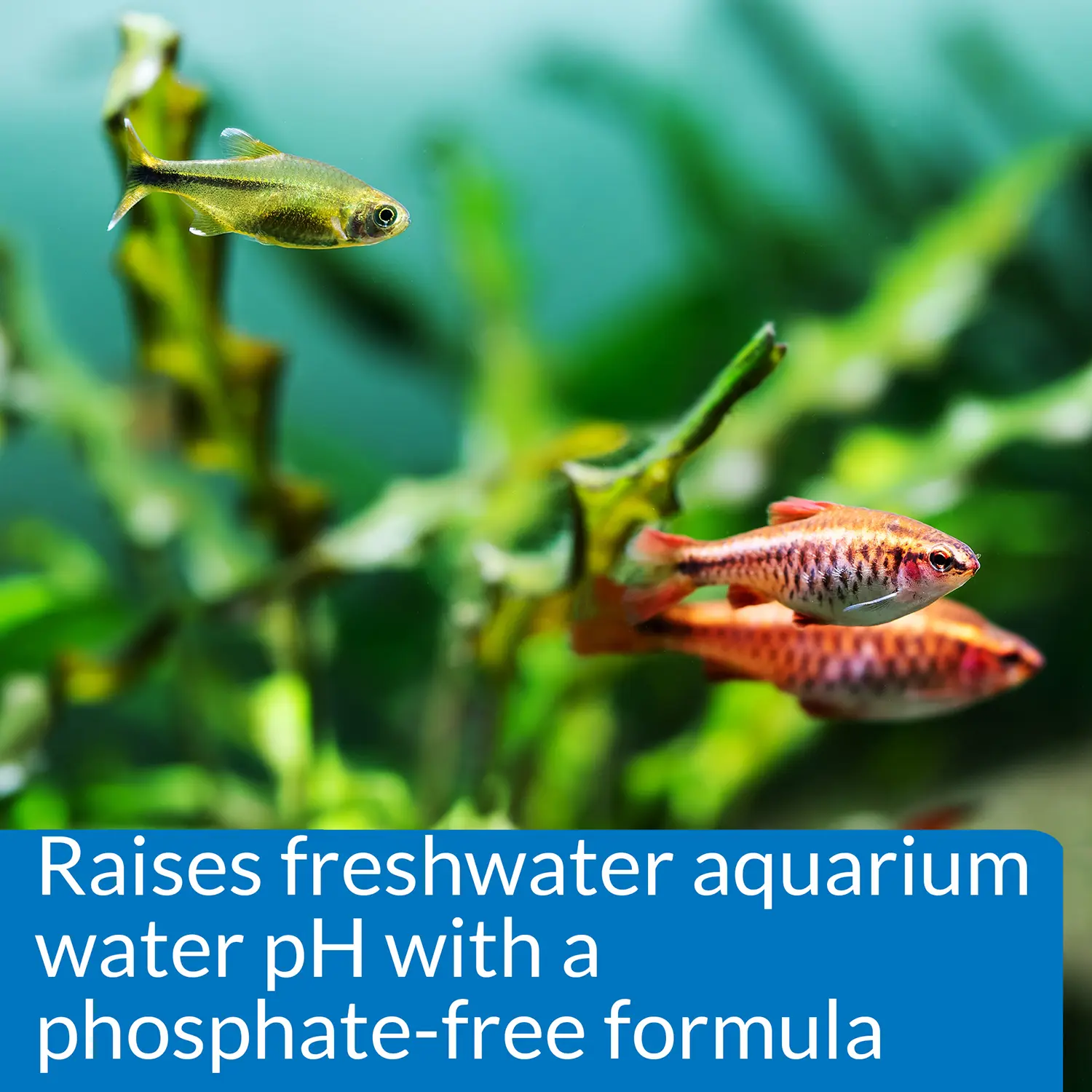 API pH Up Freshwater Aquarium Water Treatment 4-oz - Image 3