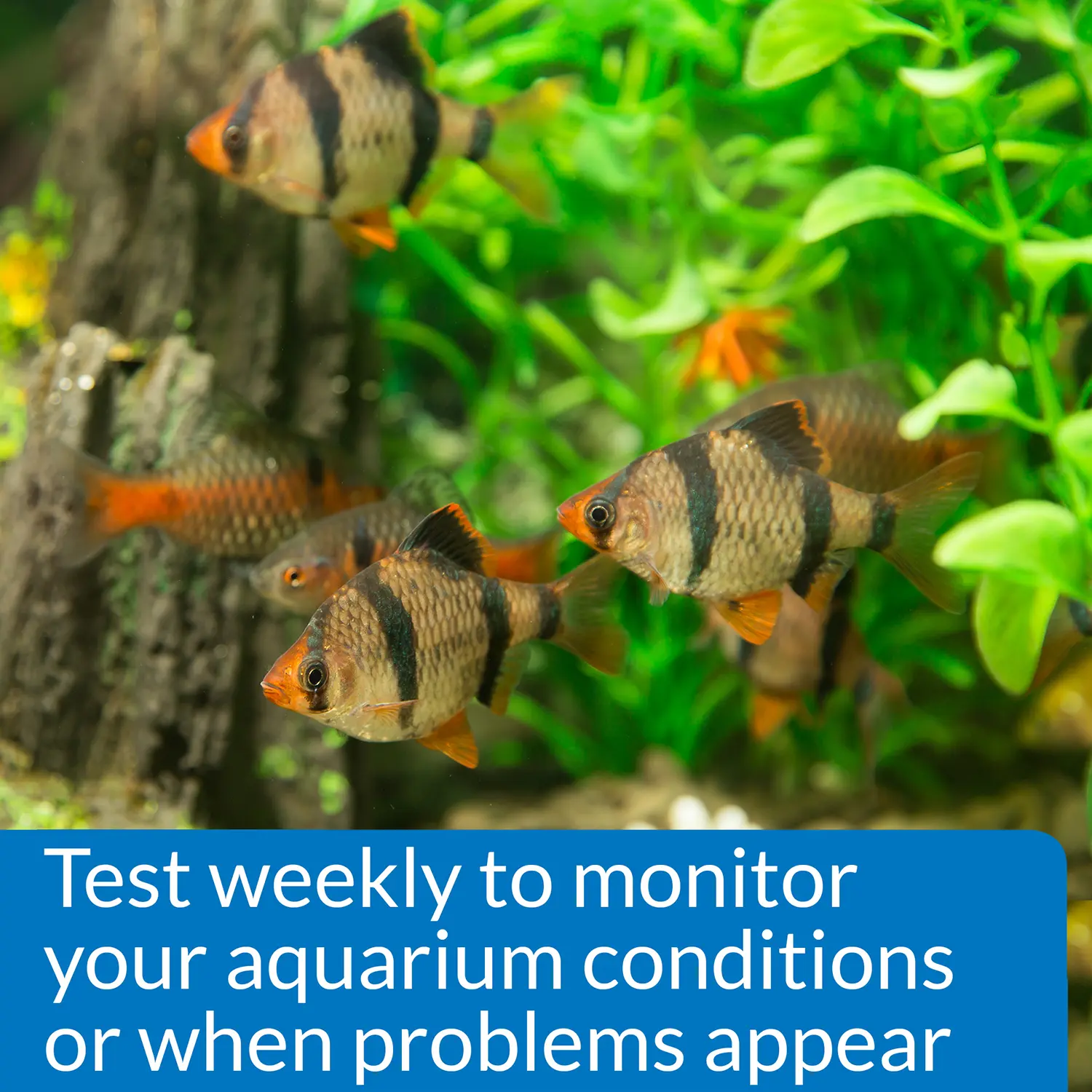 API Phosphate Test Kit Freshwater & Saltwater Aquarium 150 Count - Image 5