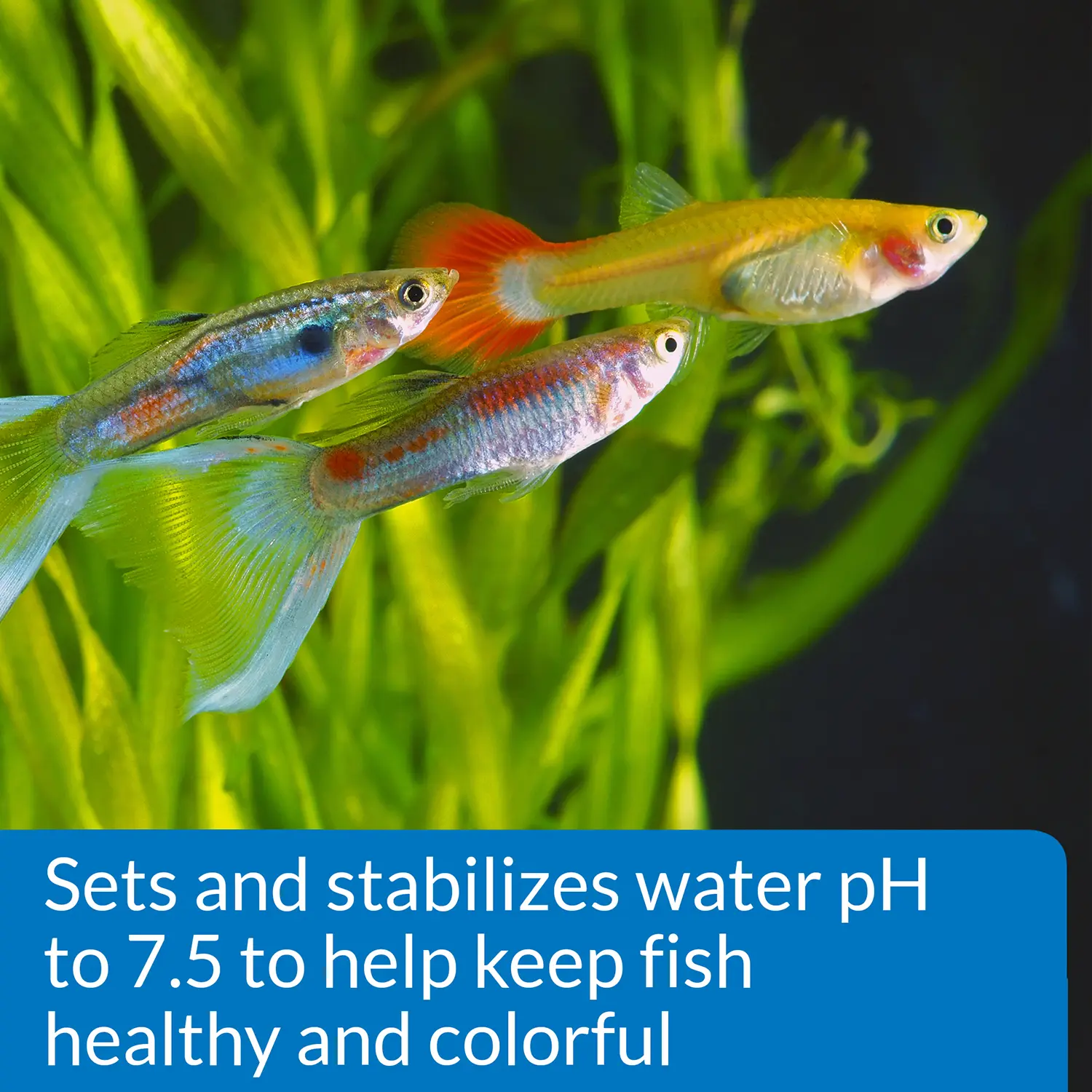 API Proper pH 7.5 Aquarium Water Treatment 9.2-oz - Image 2