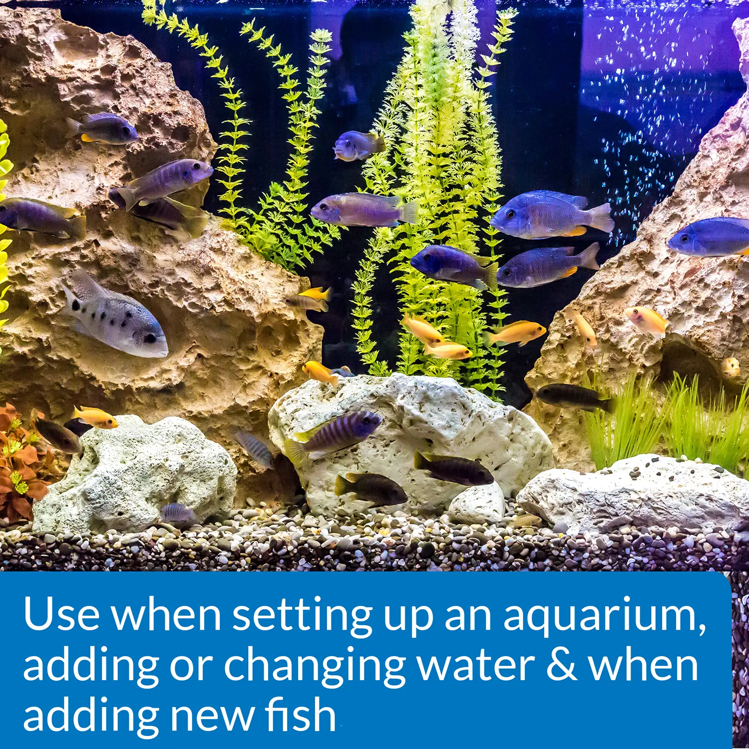 API Quick Start Aquarium Water Conditioner 16-oz - Image 5