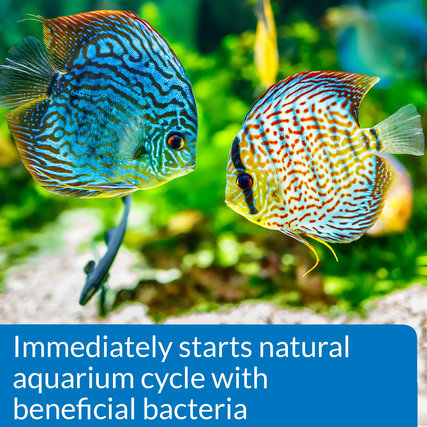 API Quick Start Aquarium Water Conditioner 8-oz - Image 3