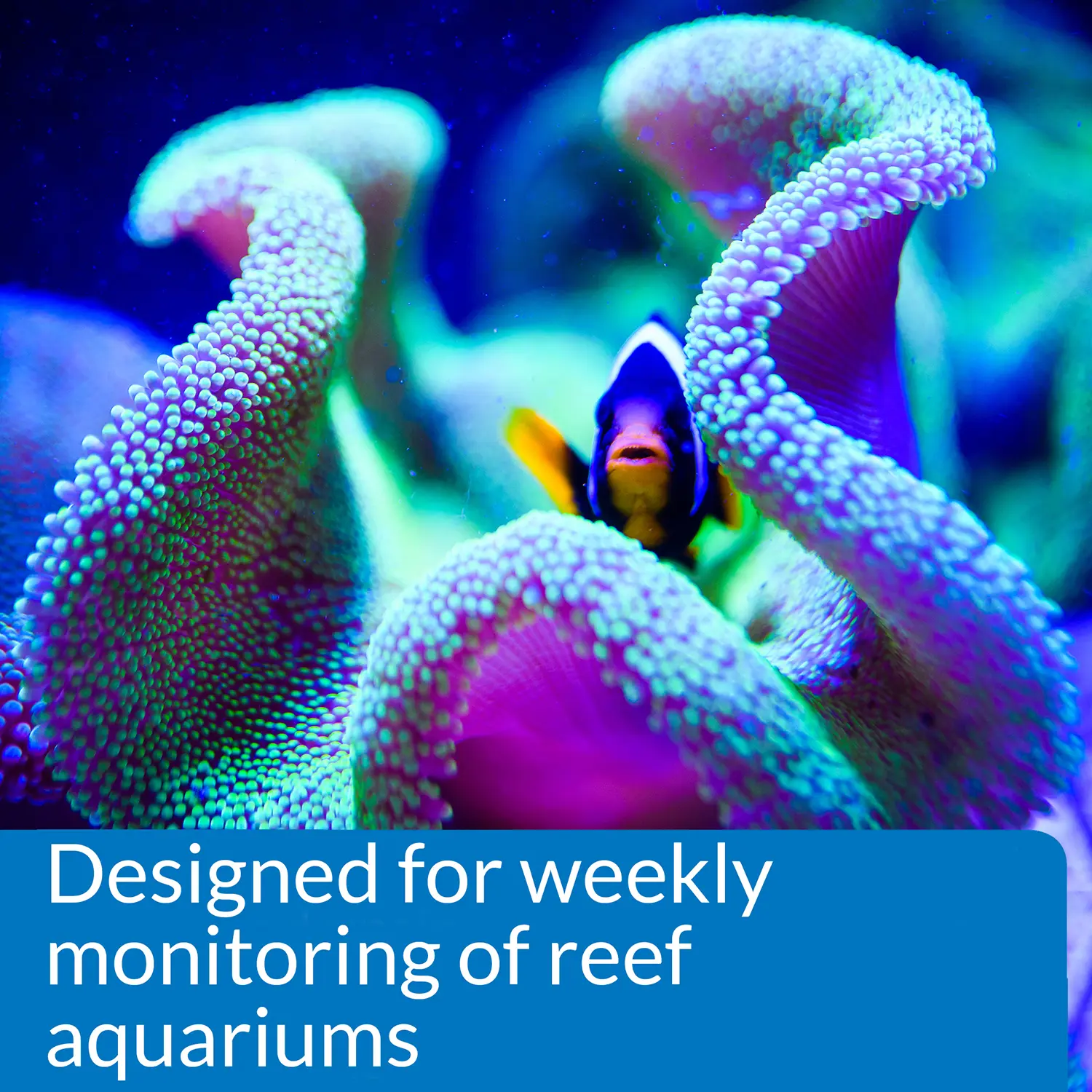 API Reef Aquarium Master Test Kit - Image 3