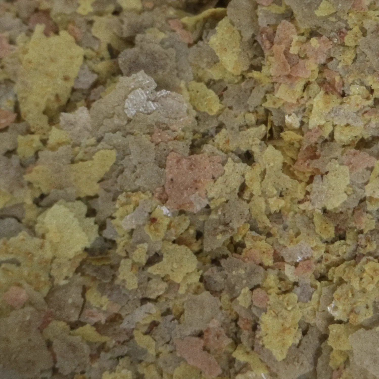 API Tropical Greens Flakes Algae & Plant Eating Fish Food 2.1-oz - Image 7