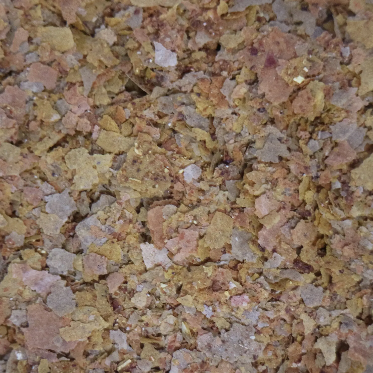 API Tropical Premium Flakes Fish Food 1.1-oz - Image 7