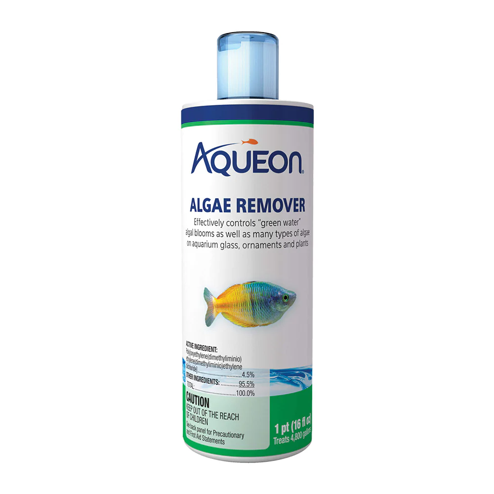 Aqueon Algae Remover for Aquarium 16-oz