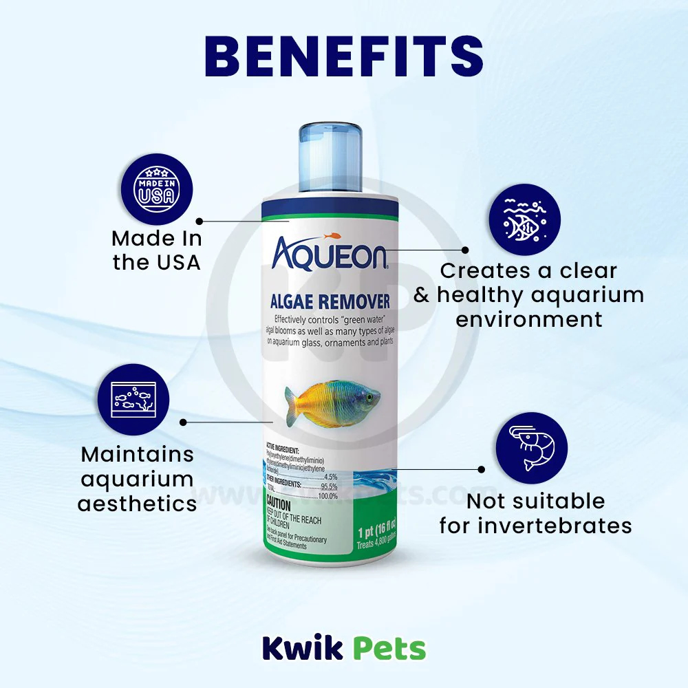 Aqueon Algae Remover for Aquarium 16-oz - Image 3