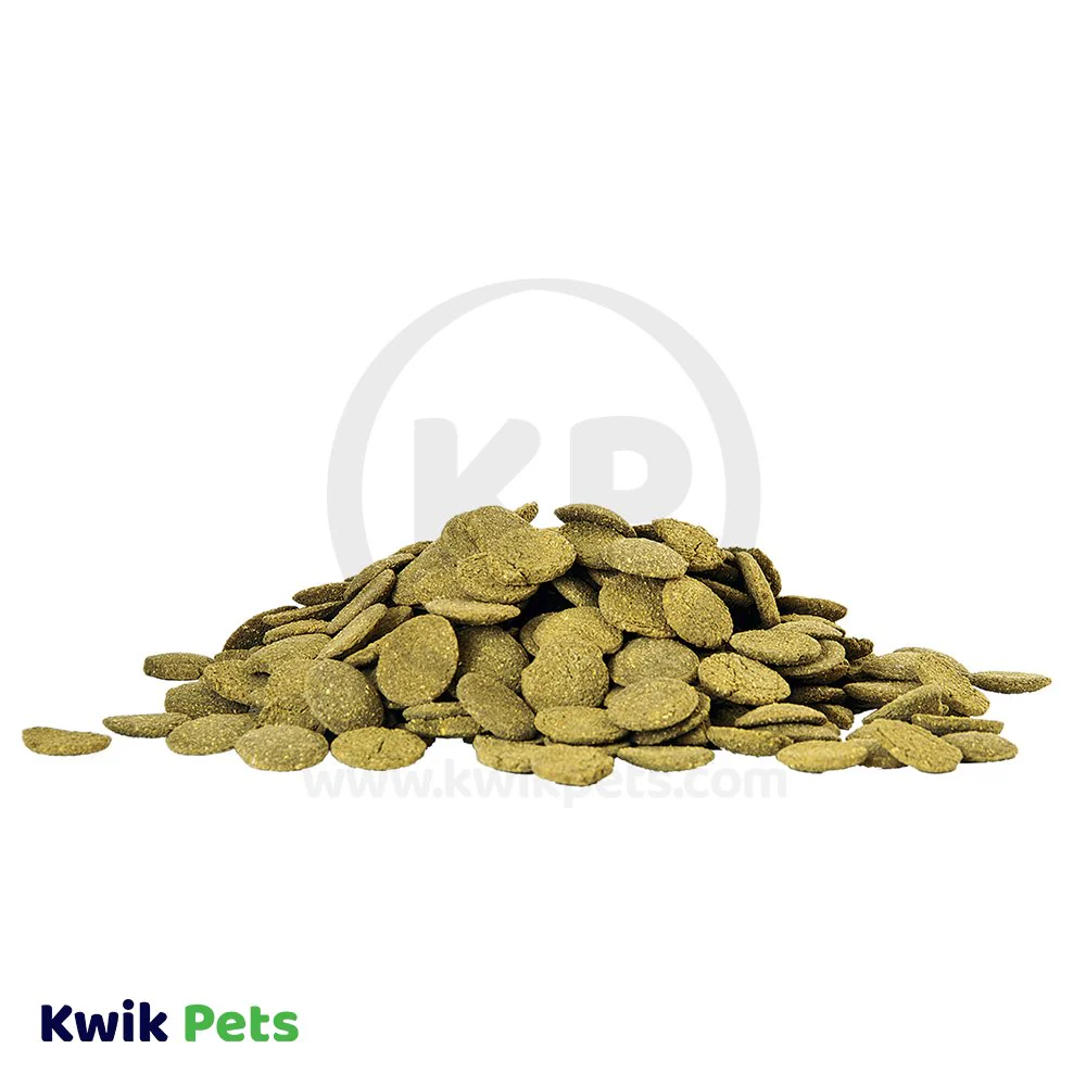 Aqueon Algae Rounds Bottom Feeder Fish Food 3-oz - Image 5