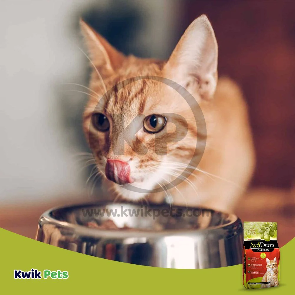 AvoDerm Natural Chicken & Herring Meal Formula Adult Dry Cat Food 6-lb - Image 7