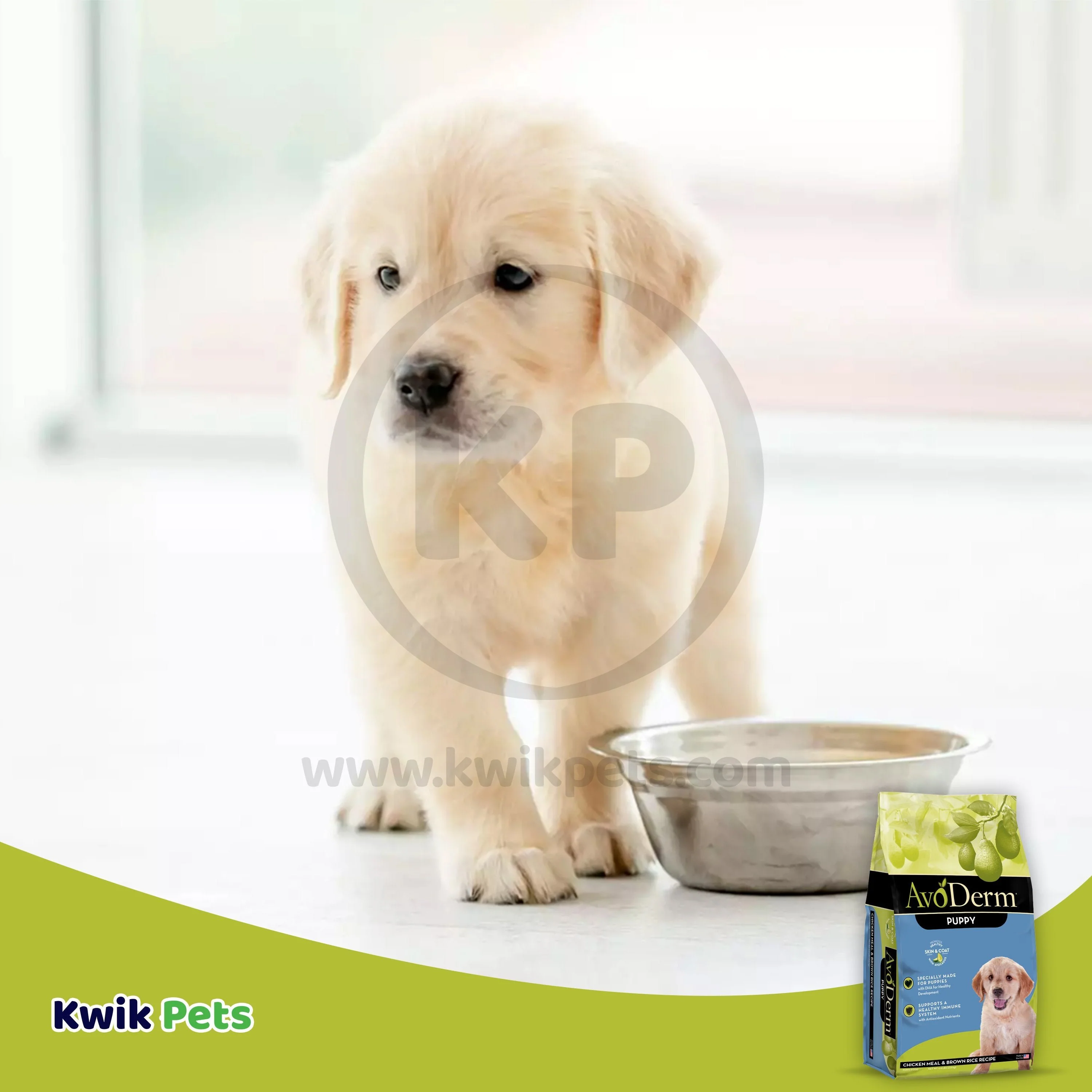 AvoDerm Natural Chicken Meal & Brown Rice Dry Puppy Food 4.4-lb - Image 7