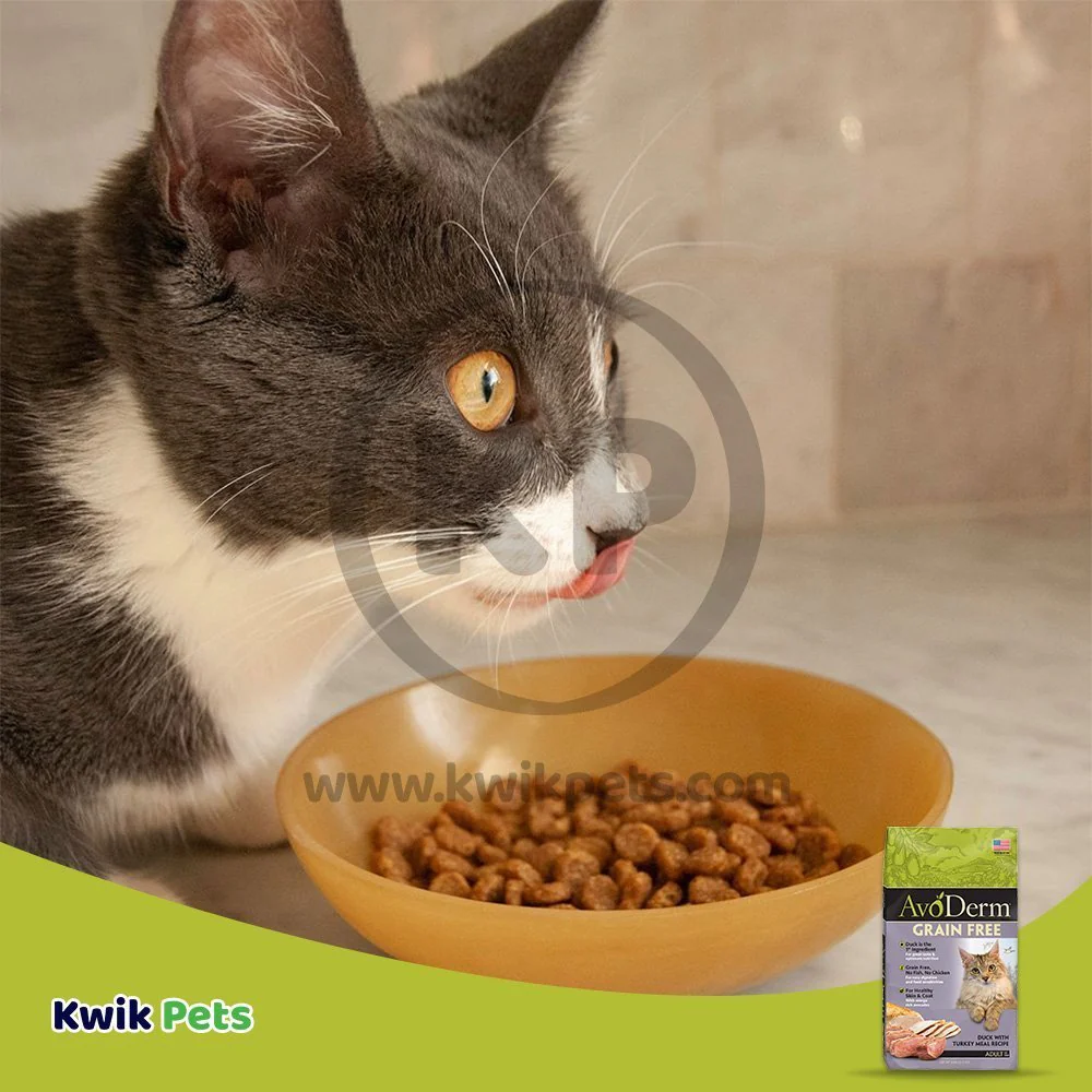 AvoDerm Natural Grain-Free Duck with Turkey Meal Dry Cat Food 2.5-lb - Image 7