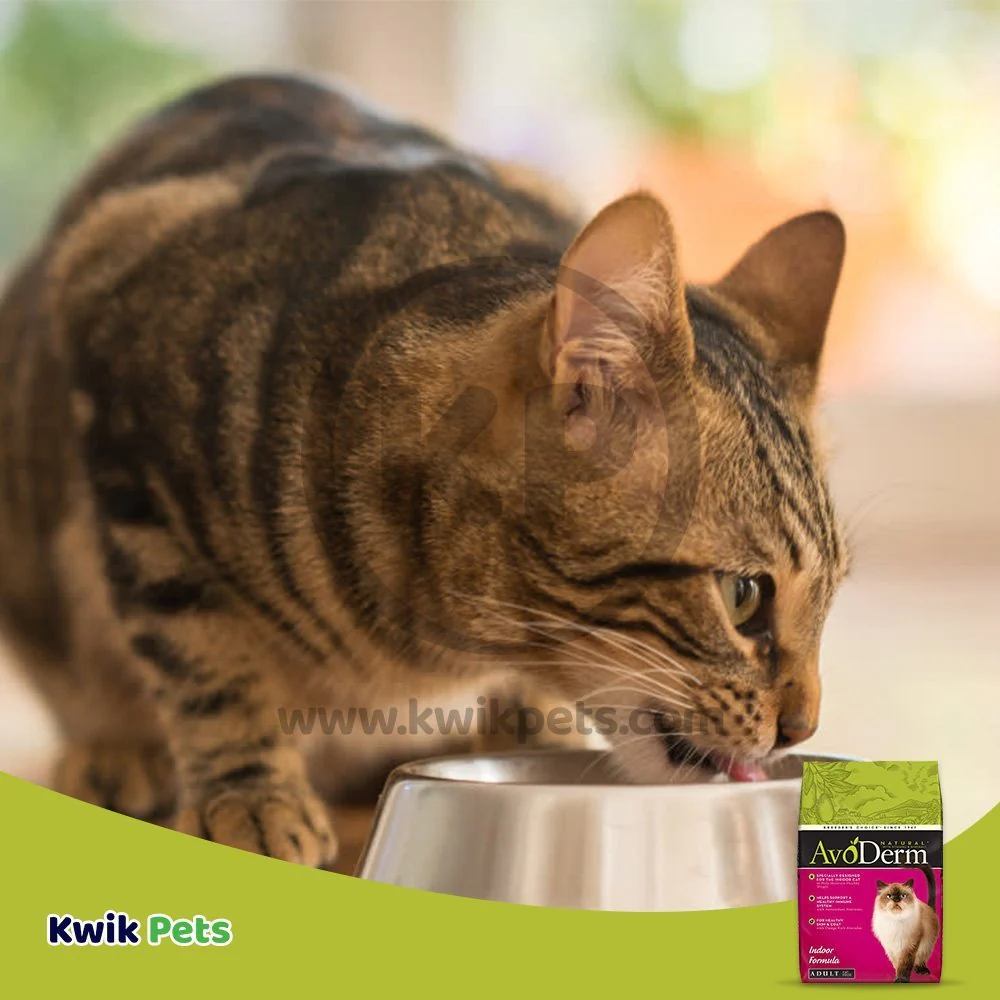 AvoDerm Natural Indoor Formula Adult Dry Cat Food 11-lb - Image 7