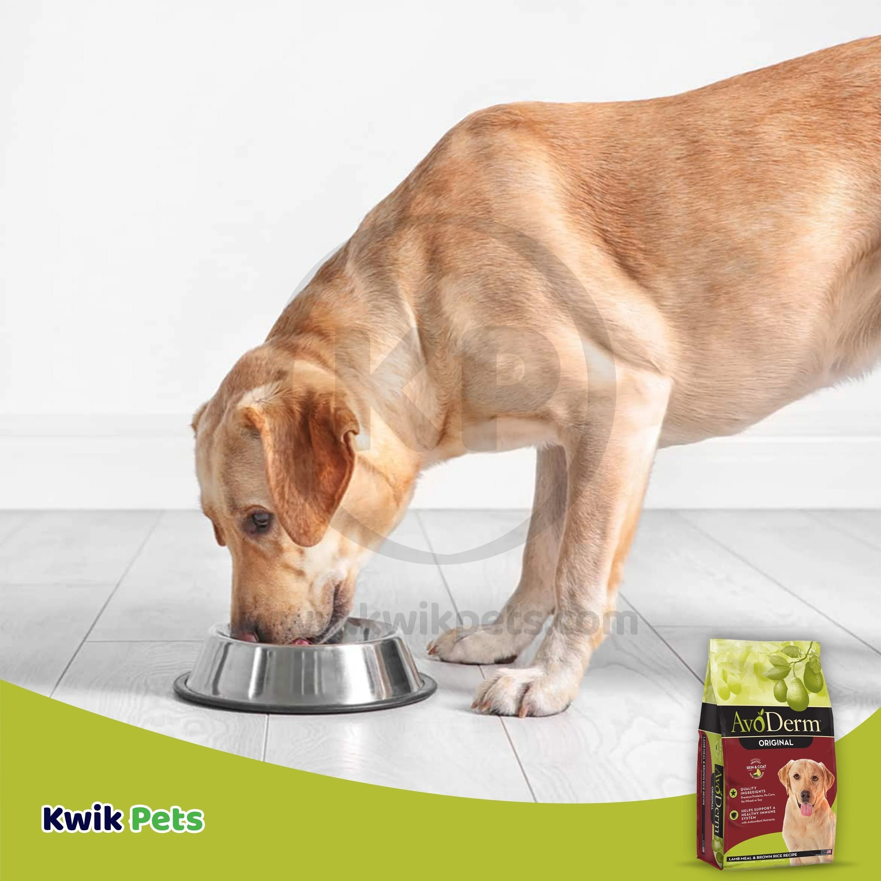 AvoDerm Natural Original Lamb Meal & Brown Rice Recipe Dry Dog Food 4.4-lb - Image 7