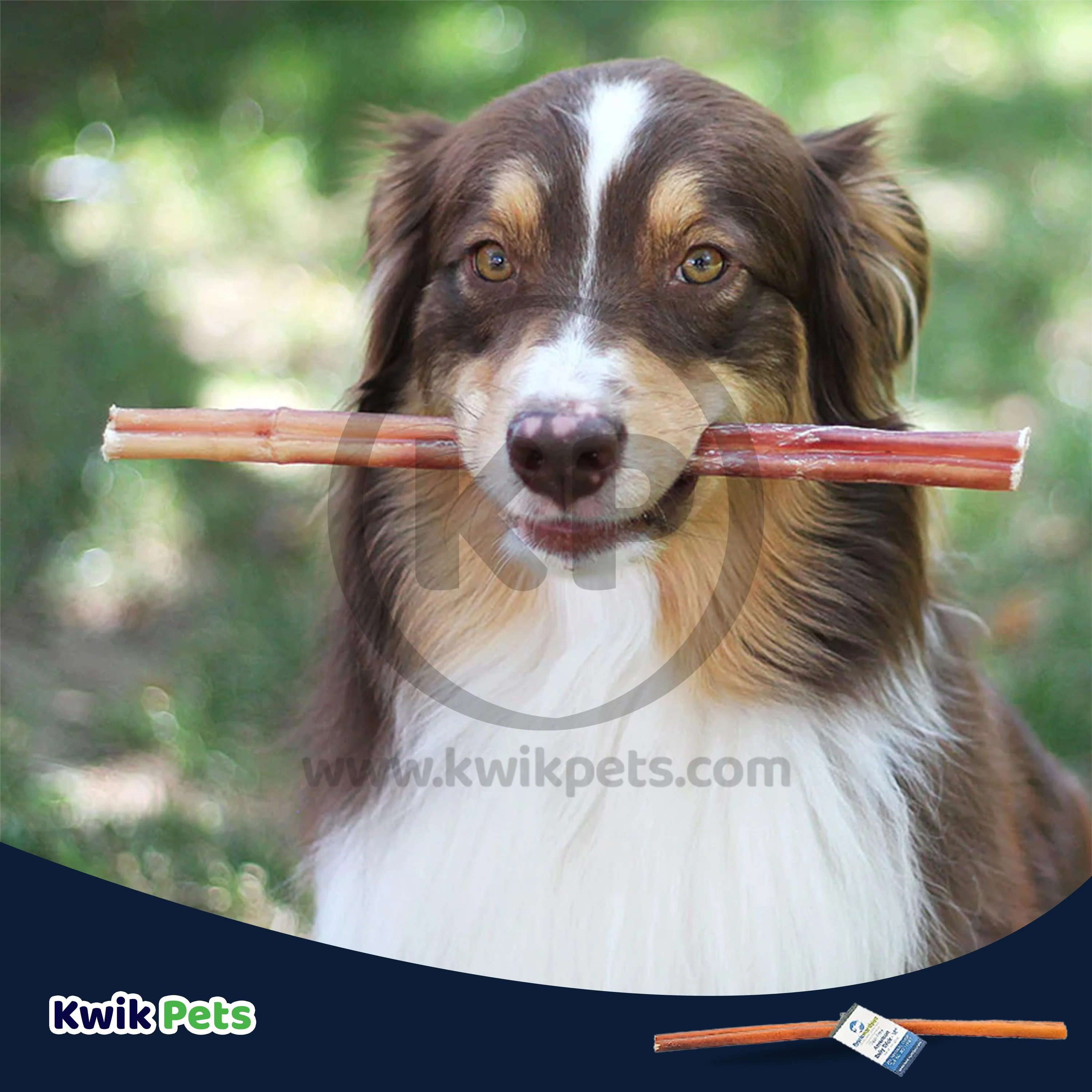 Barkworthies 12" Odor Free American Bully Stick Dog Chews - Image 6