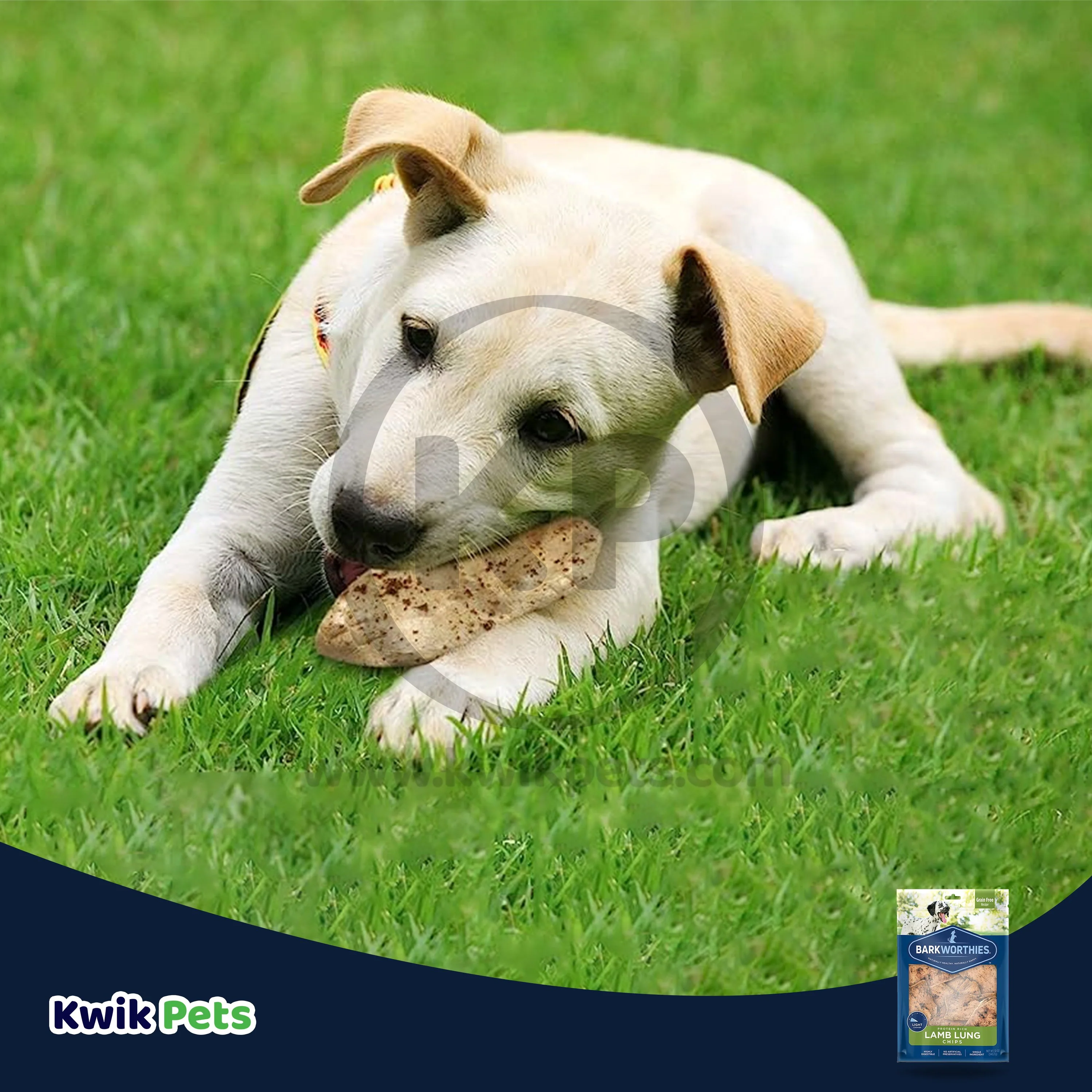 Barkworthies Protein Rich Lamb Lung Chips Dog Chews 12-oz - Image 7