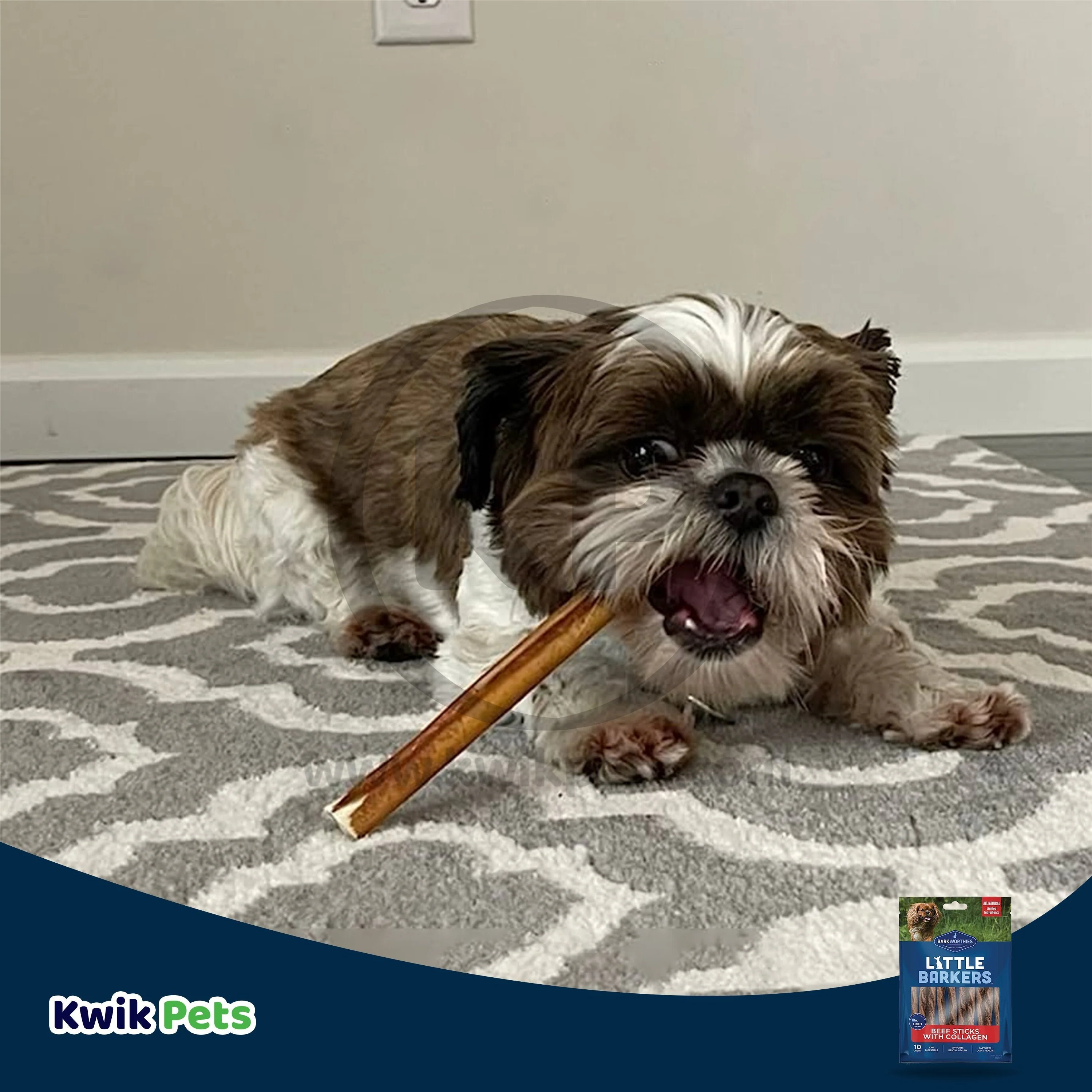 Barkworthies Little Barkers Beef Sticks with Collagen Dog Chews 10 Count - Image 7