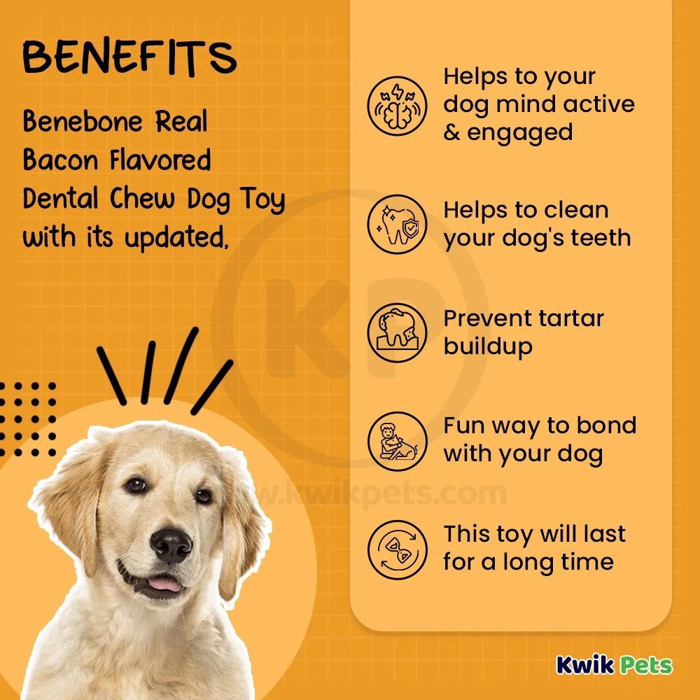 Benebone Dental Chew Dog Toy Bacon Medium - Image 3