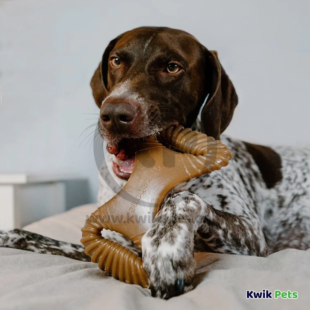 Benebone Dental Chew Dog Toy Bacon Medium - Image 5