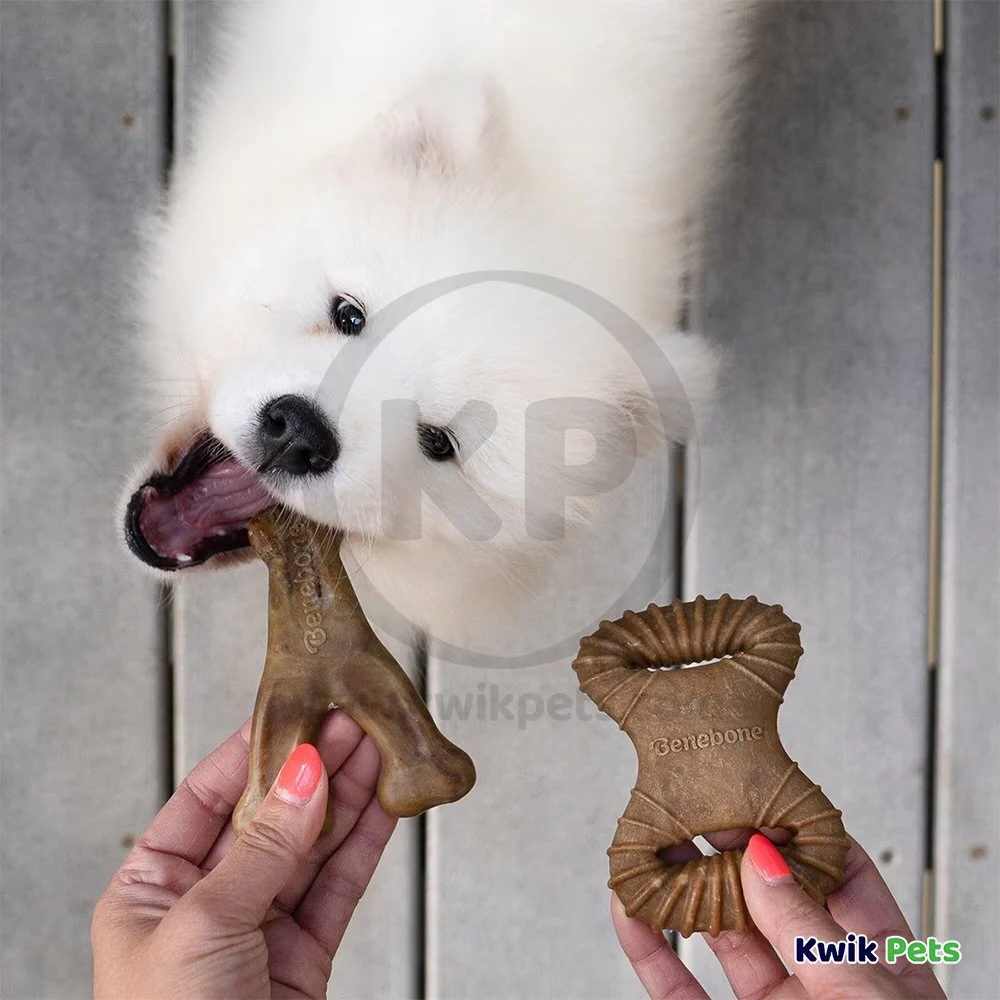 Benebone Dental Chew & Wishbone Dog Chew Toy Bacon Tiny 2 Count - Image 6