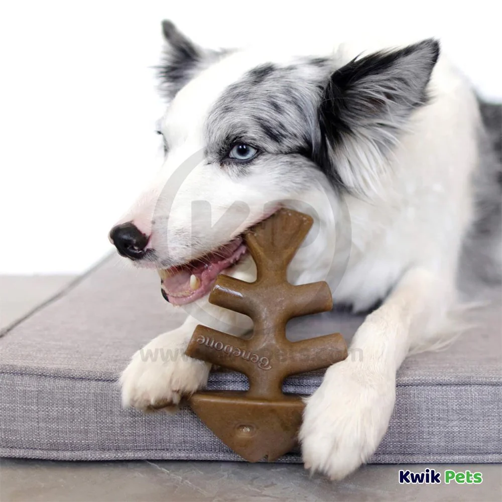 Benebone Jack Salmon Fishbone Dog Chew Toy Medium - Image 6