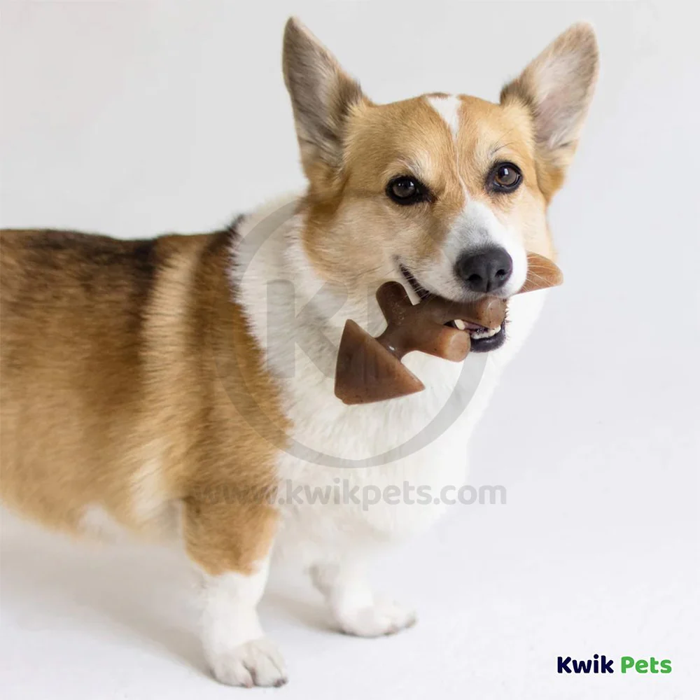 Benebone Jack Salmon Fishbone Dog Chew Toy Small - Image 6