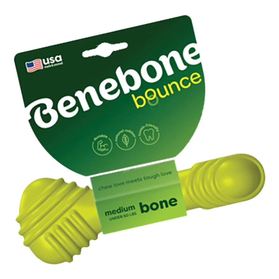 Benebone Natural Rubber Bone Dog Chew toy Green Medium