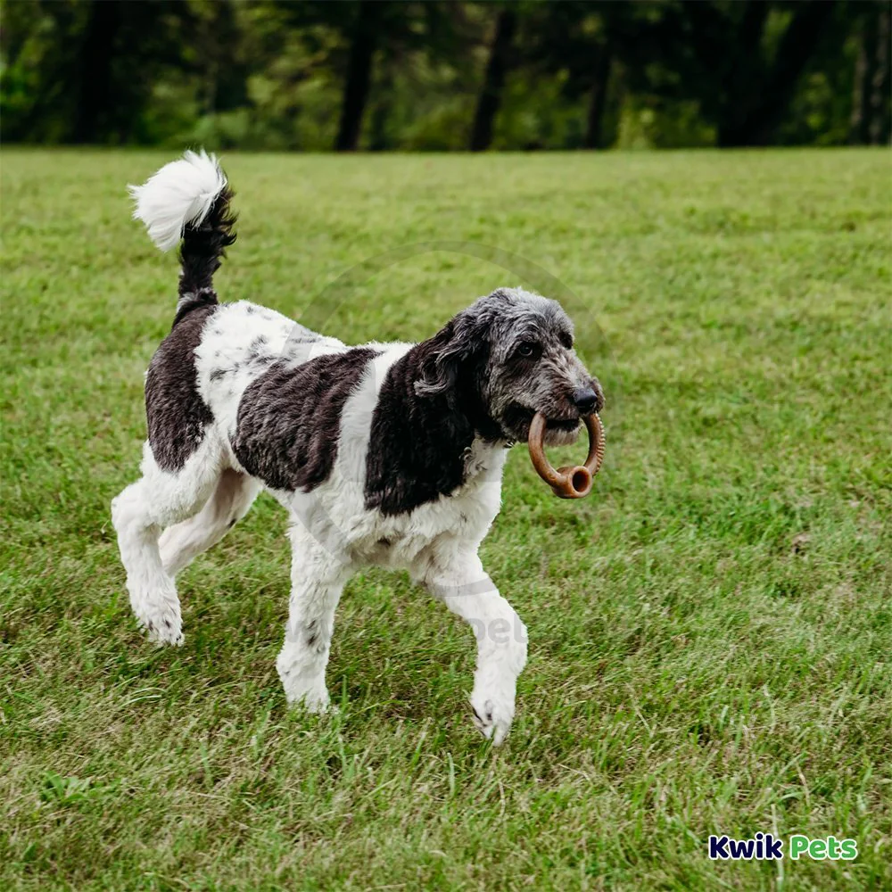 Benebone Ring Dog Chew Toy Bacon Large - Image 6
