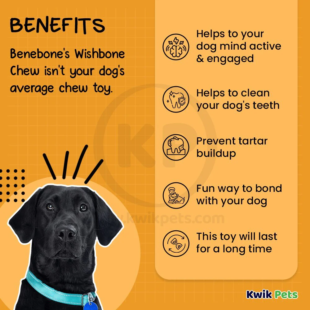 Benebone Wishbone Dog Chew Toy Bacon Medium - Image 3