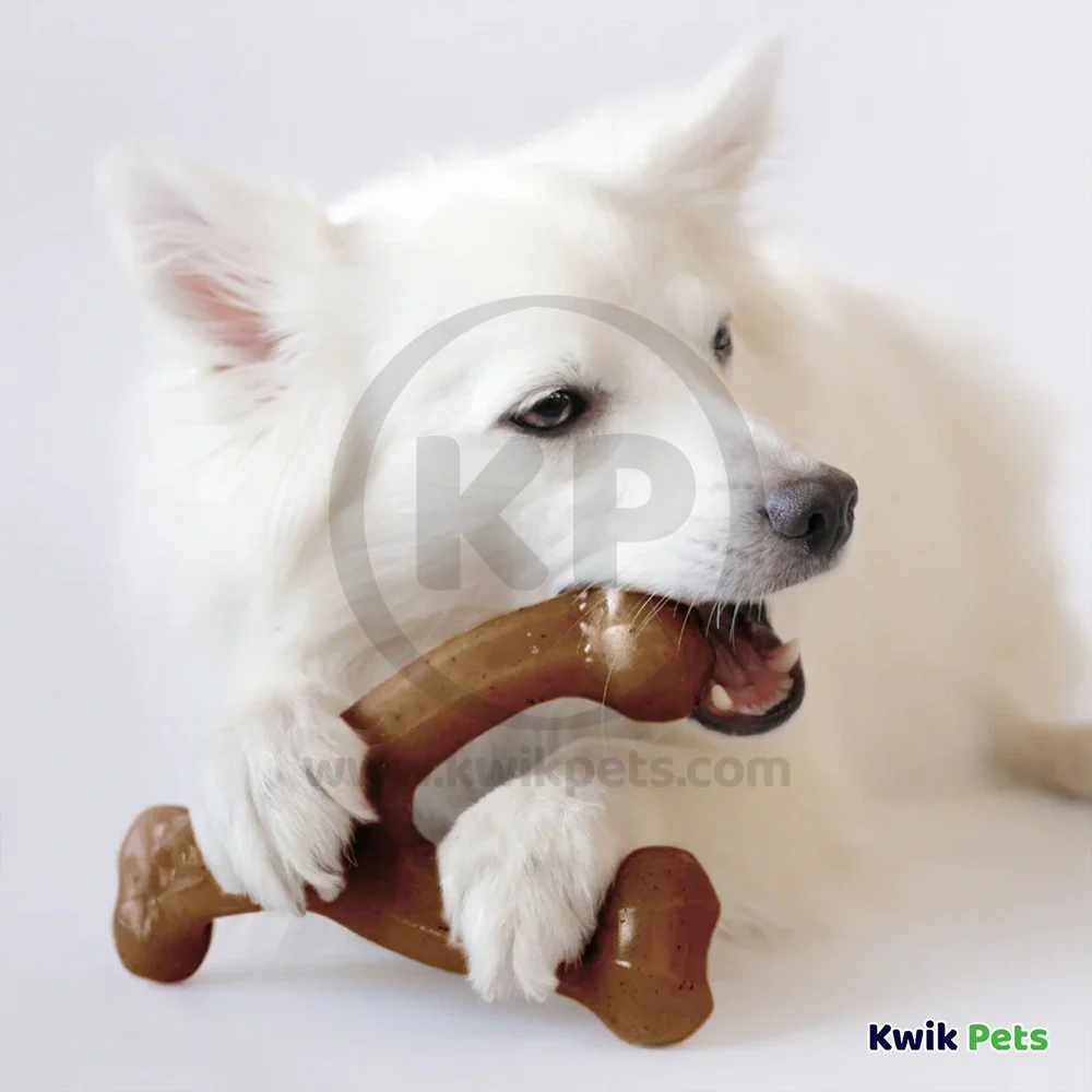 Benebone Wishbone Dog Chew Toy Bacon Medium - Image 6