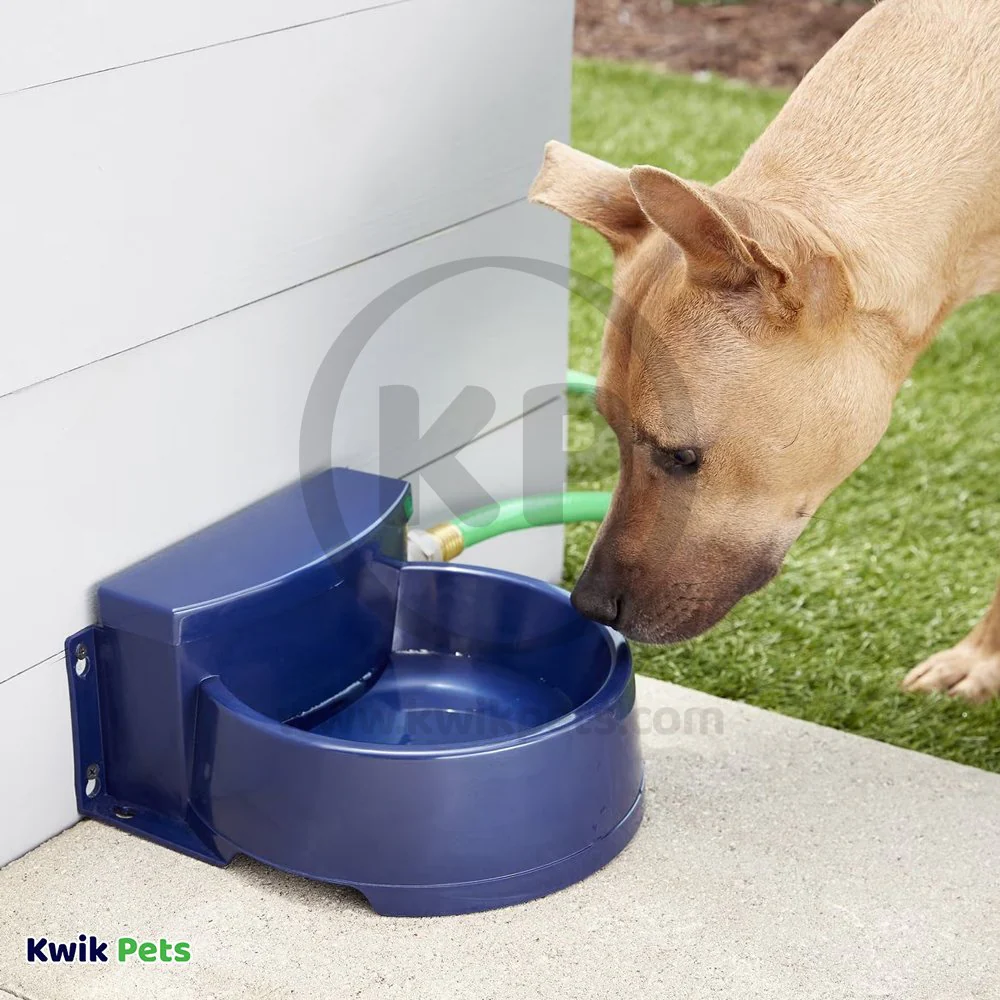 Bergan Auto-Wata Automatic Dog & Cat Waterer Navy 48-oz - Image 6
