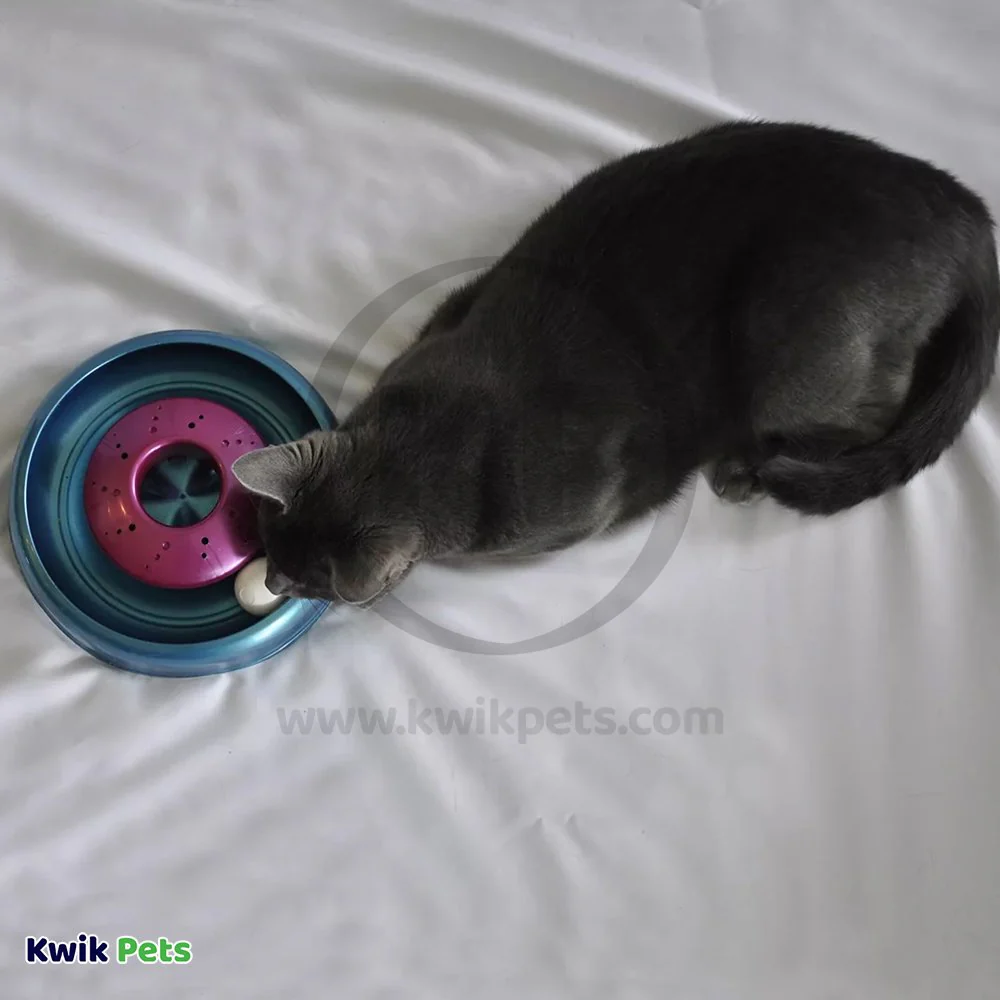 Bergan Catnip Cyclone Interactive Cat Toy - Image 5