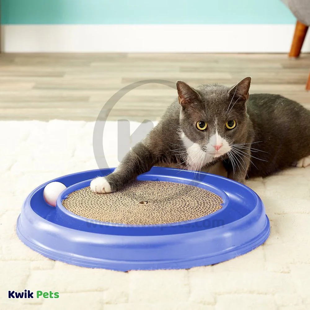 Bergan Turbo Scratcher Cat Toy Assorted - Image 5