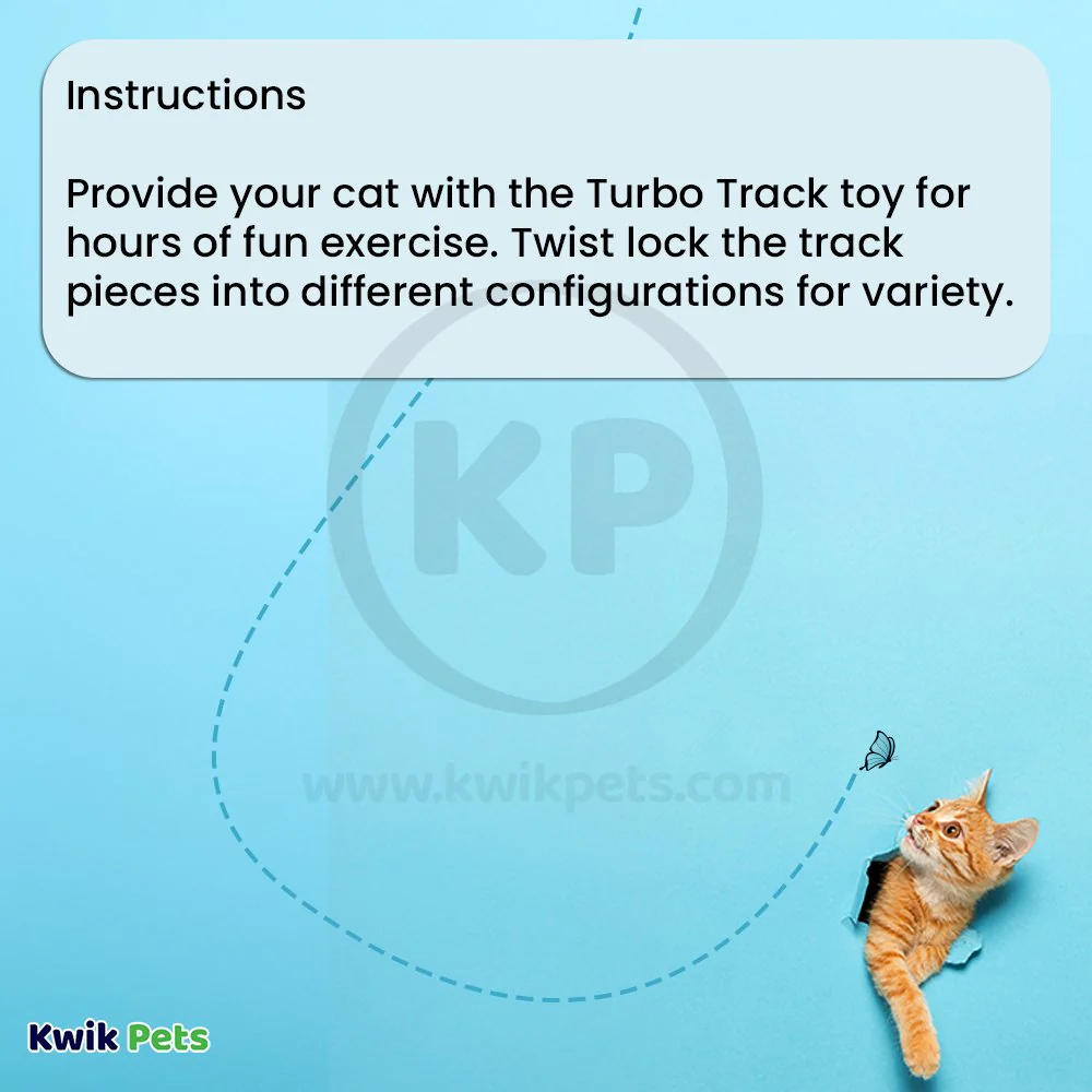 Bergan Turbo Track Cat Toy - Image 4