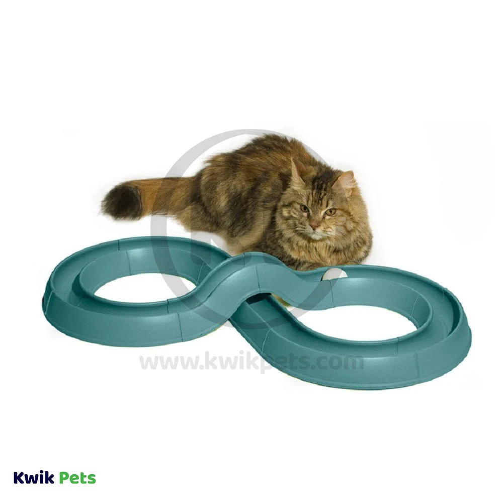 Bergan Turbo Track Cat Toy - Image 6