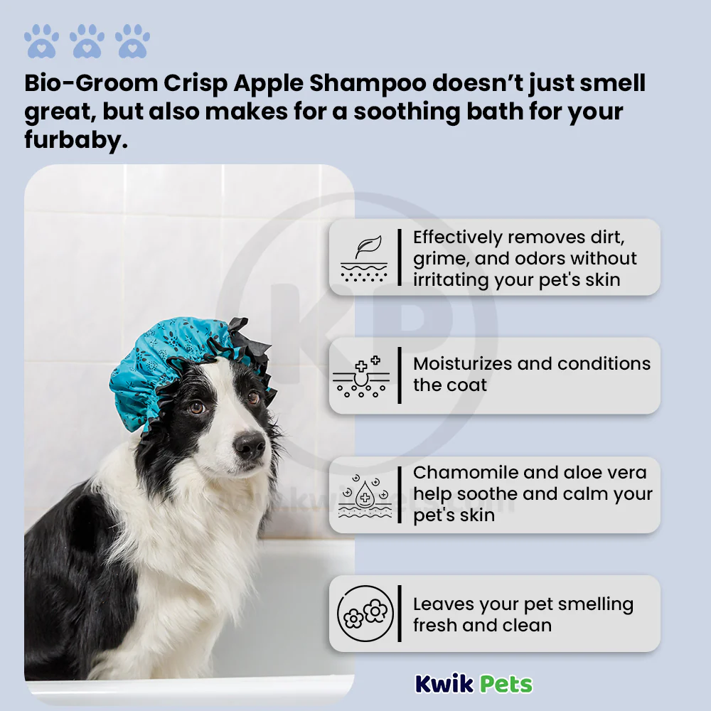 Bio-Groom Crisp Apple Aloe Vera & Chamomile Dog Shampoo 12-oz - Image 3